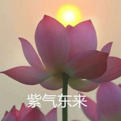 腾讯广东麻将官方版下载